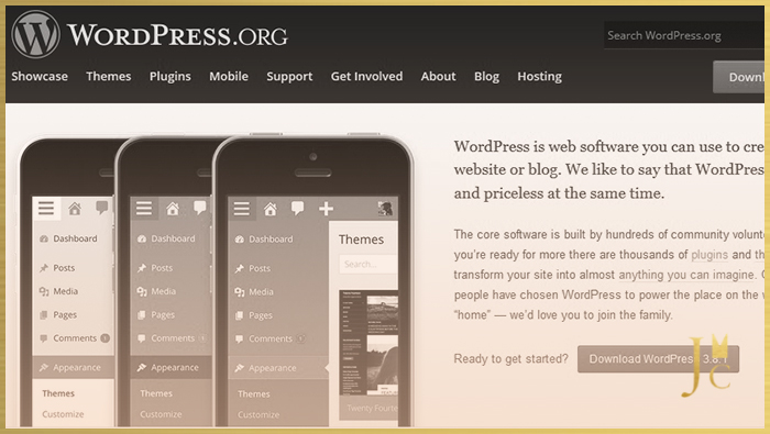 wordpress website